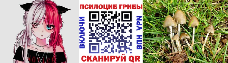 дарнет шоп Дудинка Галлюциногенные грибы мухоморы