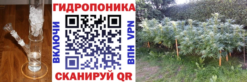 купить наркотики сайты  hydra зеркало  Бошки марихуана сатива  Дудинка 